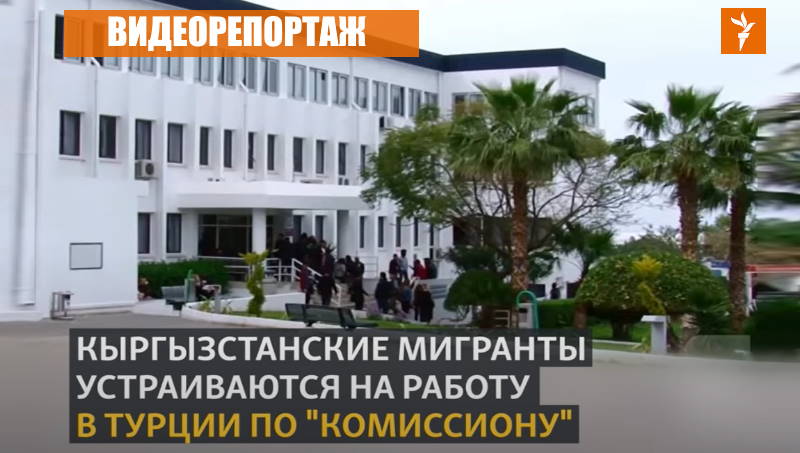 Сложности трудоустройства для кыргызстанцев в Турции