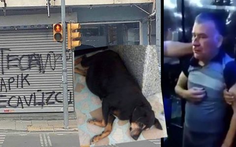 Жители района отомстили за издевательство над собакой