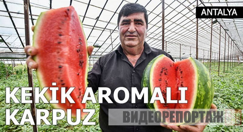 Арбуз с привкусом тимьяна можно отведать в Анталье