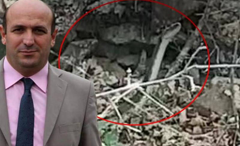 «Змеиная паника» охватила Турцию после смерти мужчины