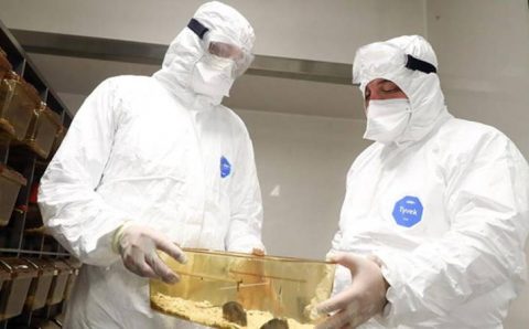 Турция приступила к испытанию вакцины от COVID-19