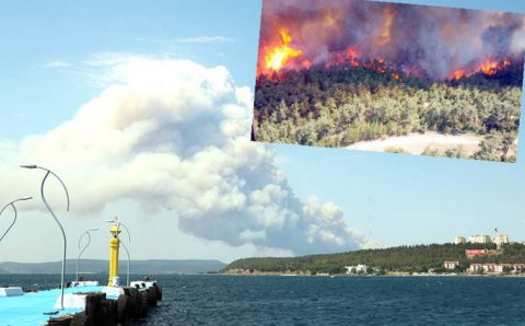 Турция перекрыла Дарданеллы из-за сильного пожара