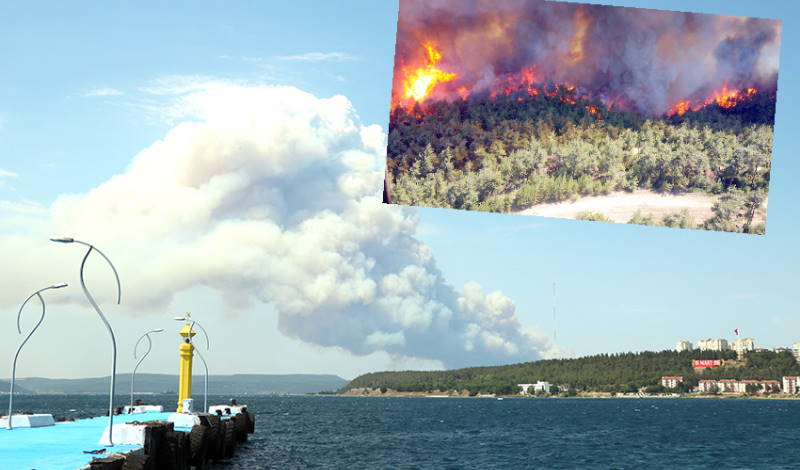 Турция перекрыла Дарданеллы из-за сильного пожара