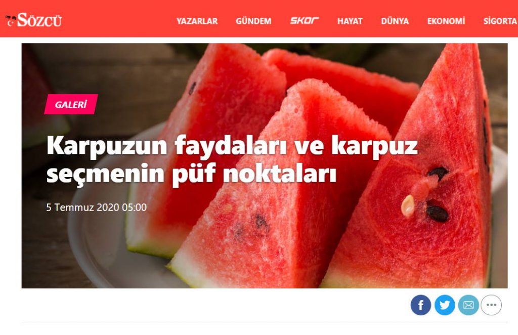 Польза и секреты выбора арбуза