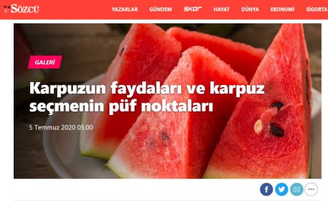 Польза и секреты выбора арбуза