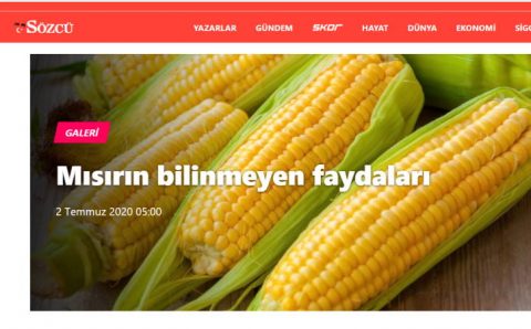 Неизвестная польза кукурузы