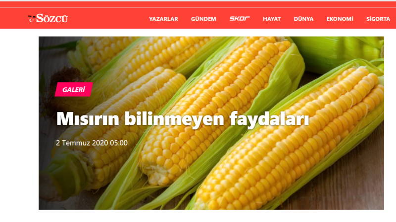 Неизвестная польза кукурузы