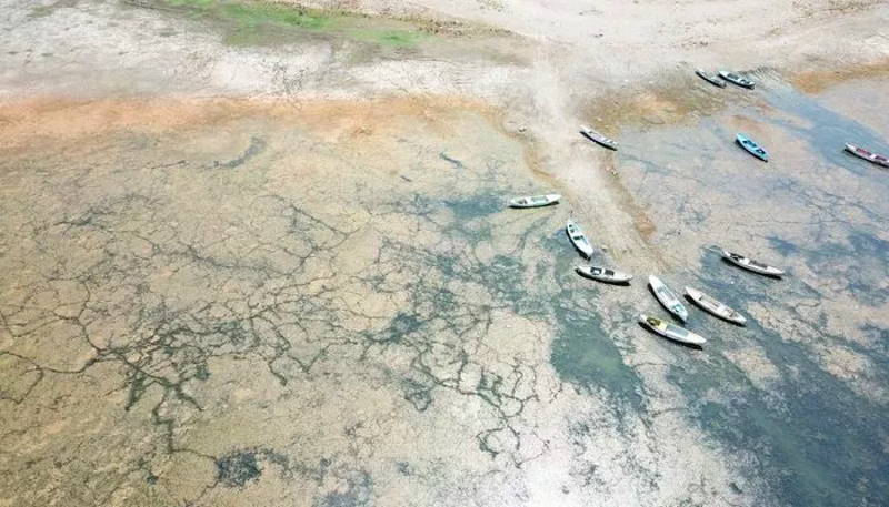 «Птичий рай» находится под угрозой высыхания