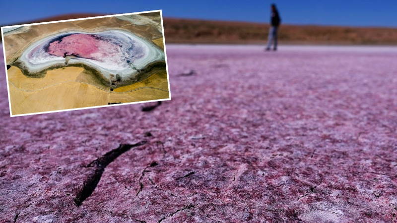 Высохшее озеро поразило миллионы своей красотой