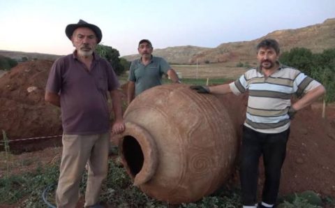 Турецкие фермеры почувствовали себя археологами