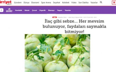 Доступен в любое время года, полезные свойства не перечесть