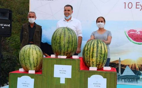 В Турции прошел конкурс самых больших арбузов