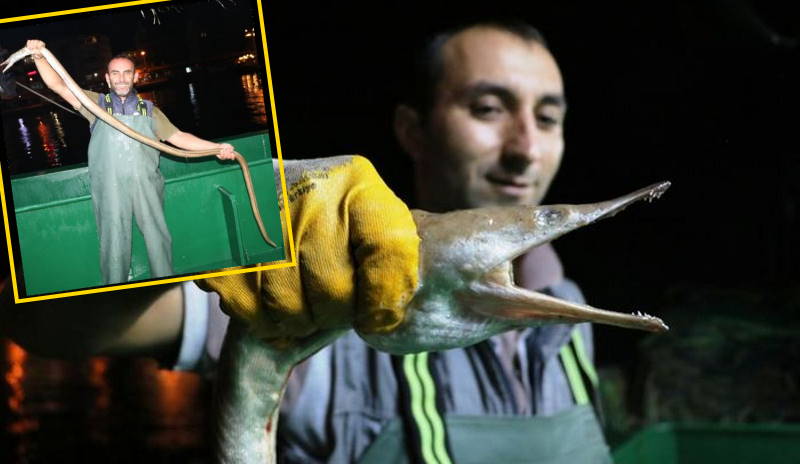 Турецкие моряки удивились необычному улову