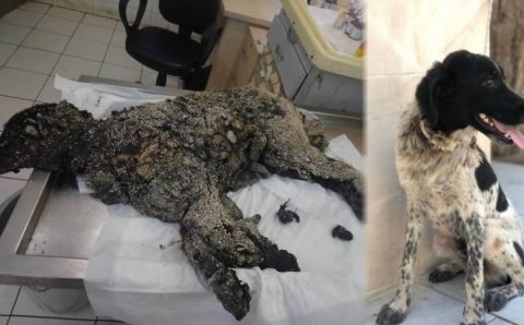 «Счастливчику» из Анталии очень повезло