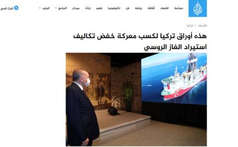 Какие шаги делает Турция для снижения затрат на  российский газ?