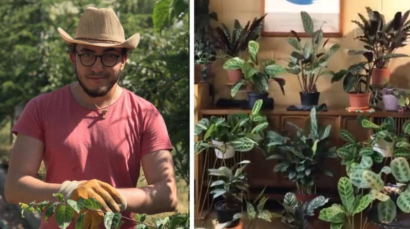 Турок снял свои растения и удивил многих
