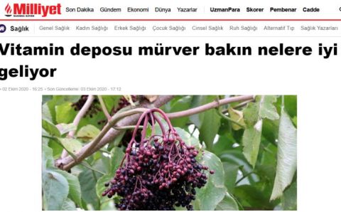 Смотрите, чем полезна бузина — кладезь витаминов