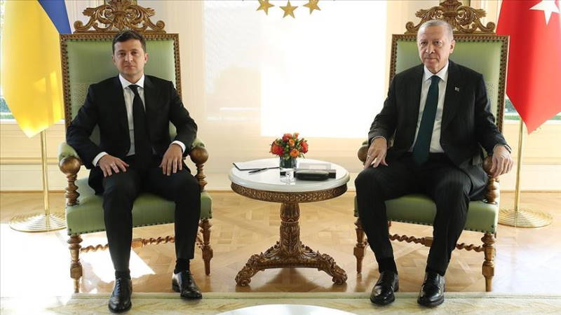 Эрдоган и Зеленский провели переговоры в Стамбуле