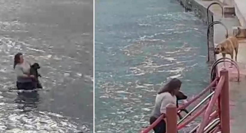 В холодную воду с горячим сердцем