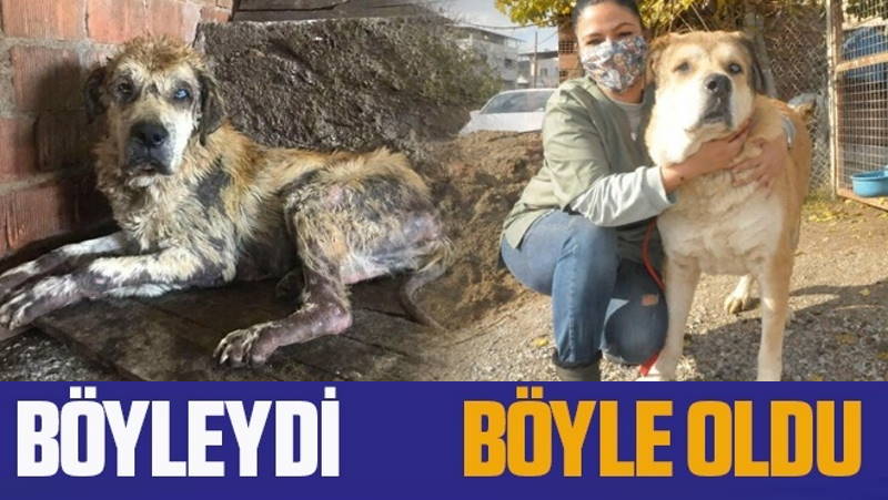 «Он весил всего 14 килограмм»