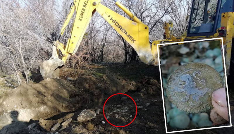 Экскаваторщик «нарыл» 282 серебряные монеты