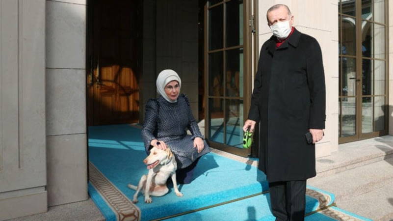 Новый житель Президентского дворца