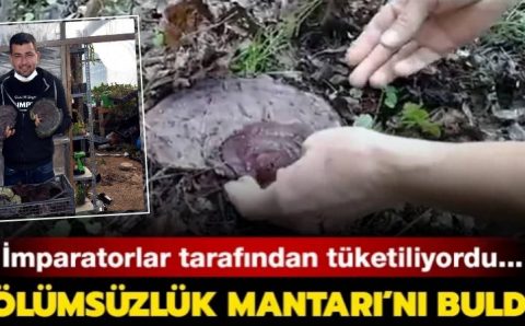 Житель Мармариса нашел «гриб бессмертия»