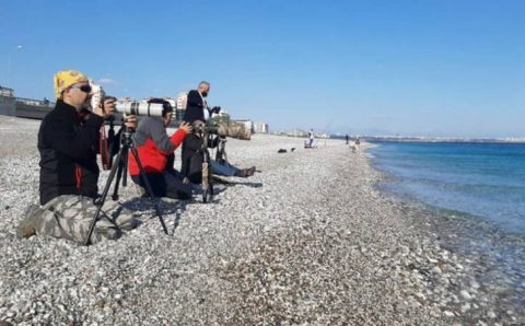 Фотографы оккупировали пляж в Анталье