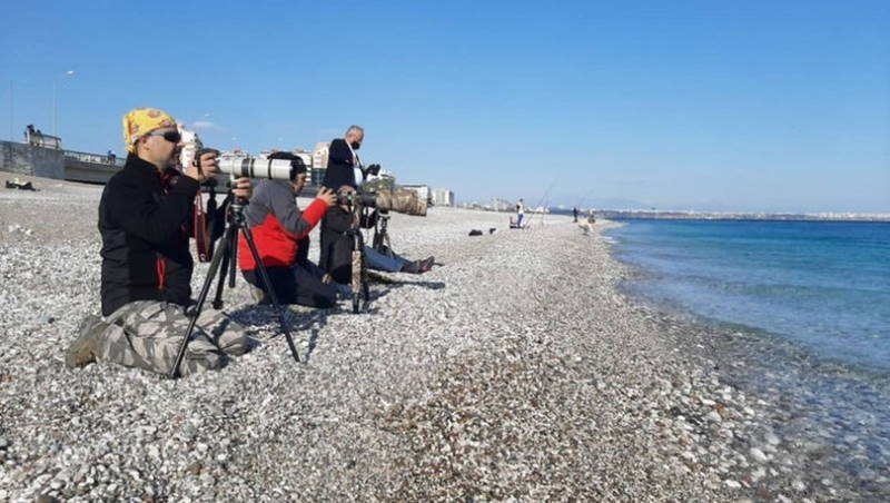 Фотографы оккупировали пляж в Анталье