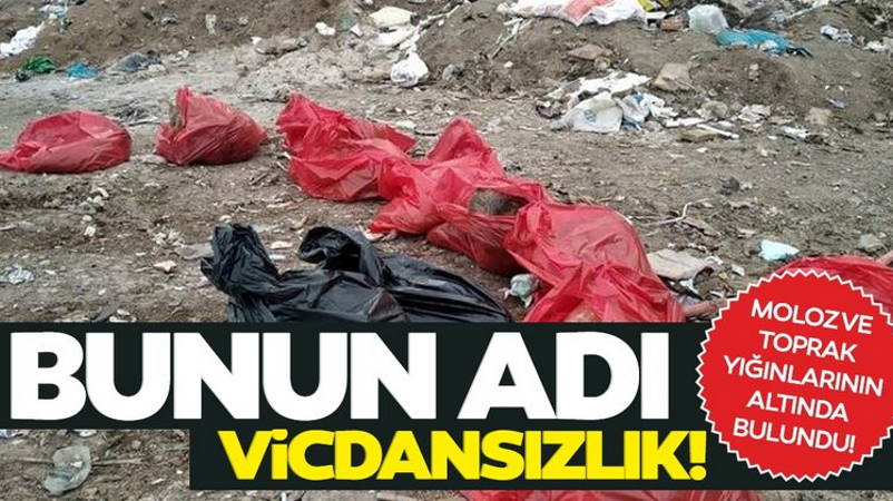 Ужасная находка на свалке в Анкаре