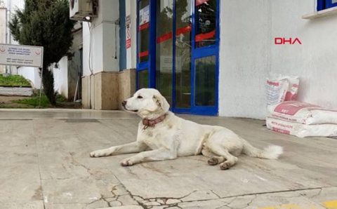 14 дней у двери больницы