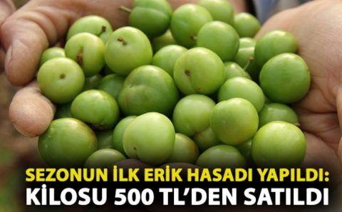 Простая рыночная экономика: 1 алыча = $1
