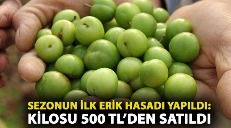 Простая рыночная экономика: 1 алыча = $1