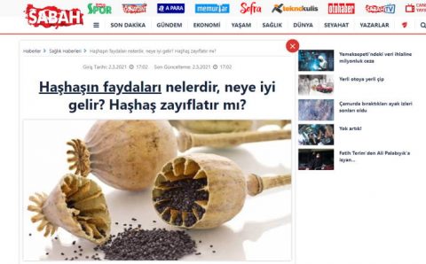 В чем польза мака? Помогает ли мак похудеть?