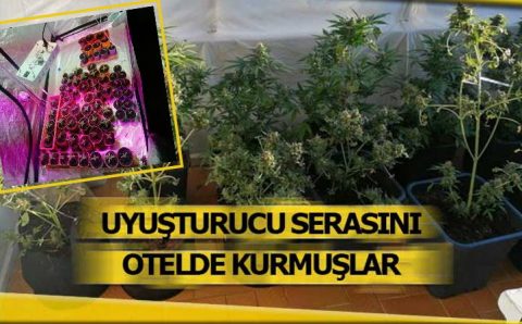 Отель в Мармарисе выращивал марихуану в пустующих номерах