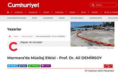 Последствия слизи в Мраморном море