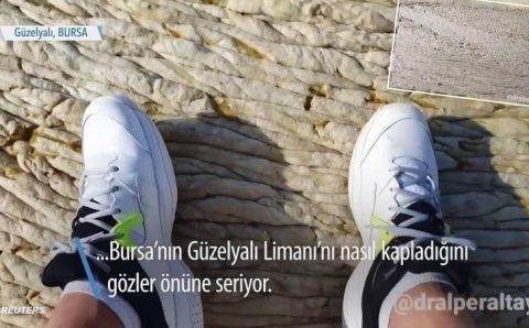 Видео из Турции с «ковром на море» взорвало интернет