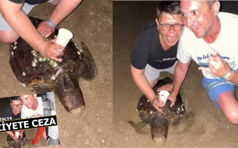 Два туриста из России не смогли избежать наказания