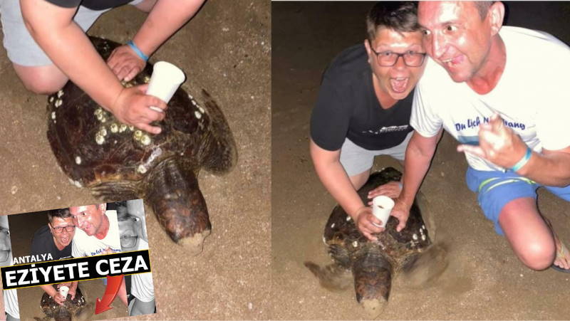 Два туриста из России не смогли избежать наказания