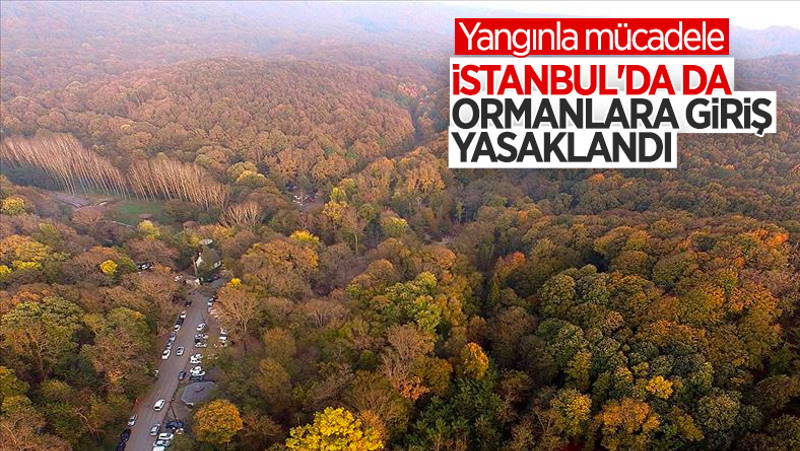 В 7 провинциях Турции запретили посещение лесов
