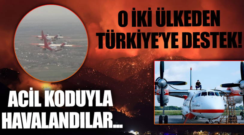 Пожары в Турции: помощь, соболезнования и поддержка