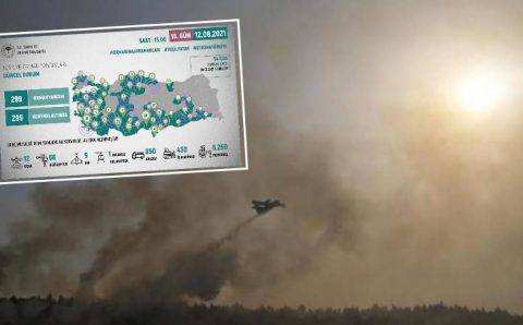 Турция справилась с лесными пожарами