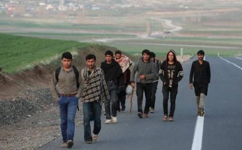 Турция — США: Анкара не будет принимать афганских беженцев