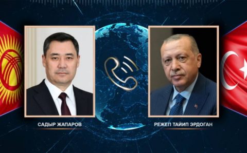 Эрдоган переговорил с лидерами ОАЭ и Кыргызстана