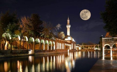 С карты вакцинации исчезла последняя «красная» провинция