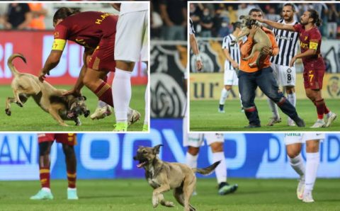 Необычный любитель футбола посетил дерби Измира