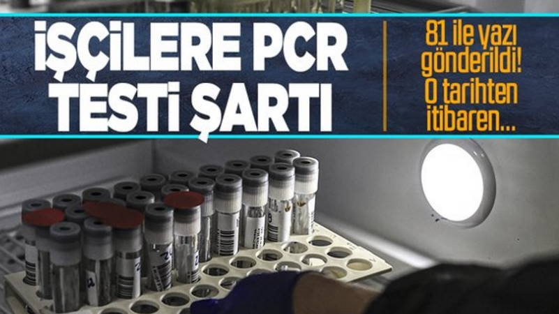 Невакцинированных работников обяжут сдавать ПЦР-тесты