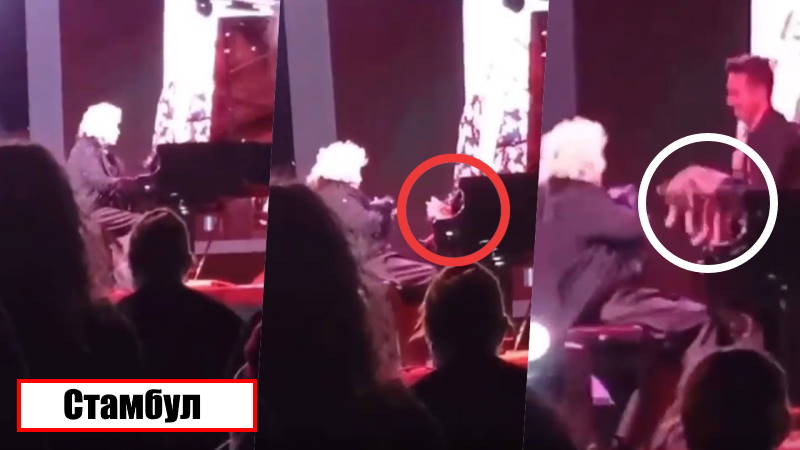 Игра в 4 лапы: Кот сорвал аплодисменты на концерте