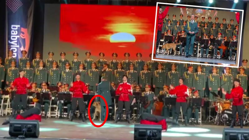 Измирскому псу понравилось выступление казаков с саблями