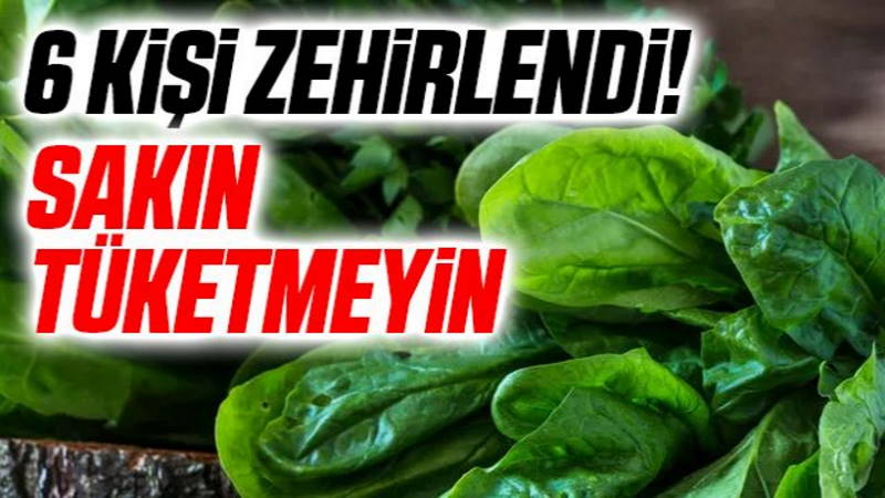 6 человек оказались в больнице после отравления «шпинатом»